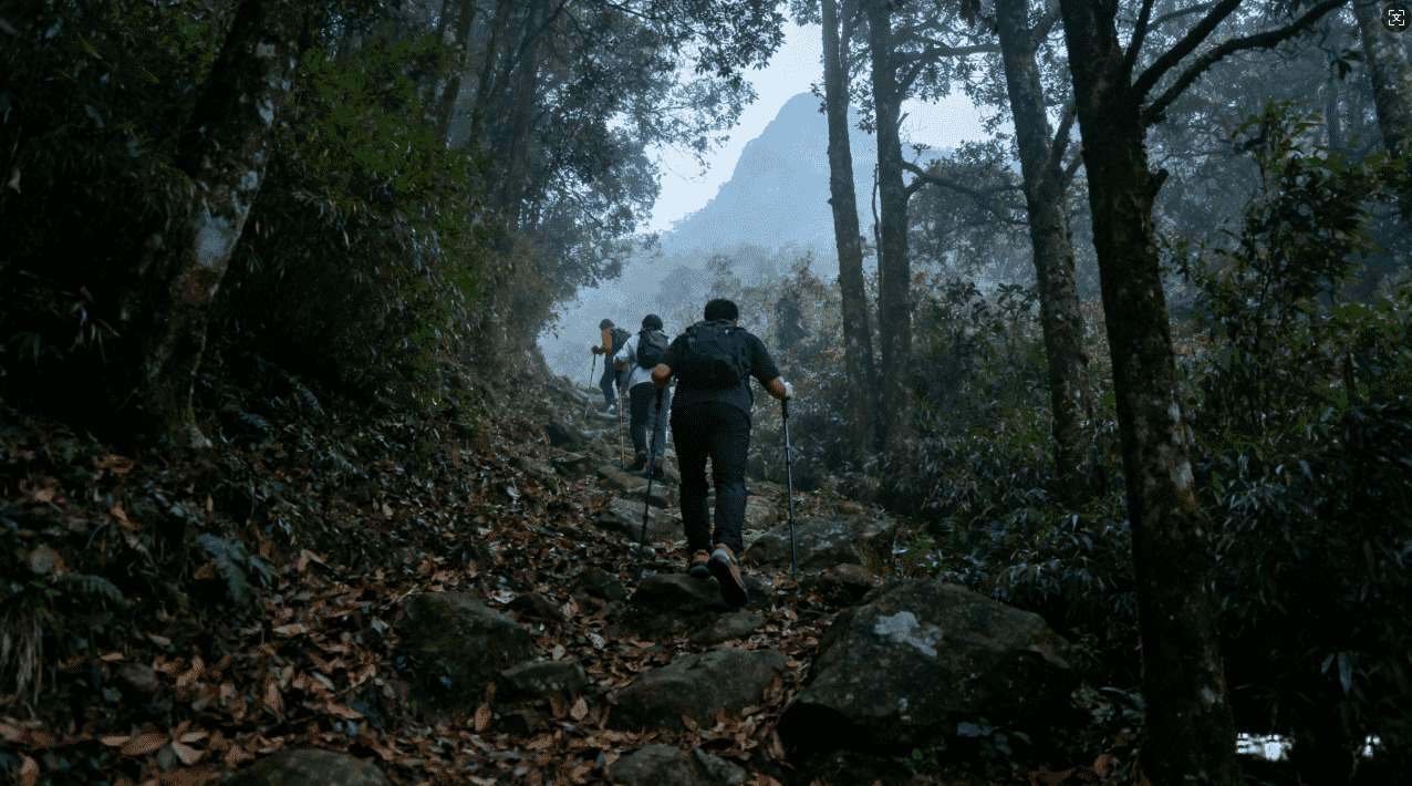 旋风加速器极速下载百度知道方法详解